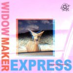 Review: Kye Alfred Hillig – Widowmaker Express